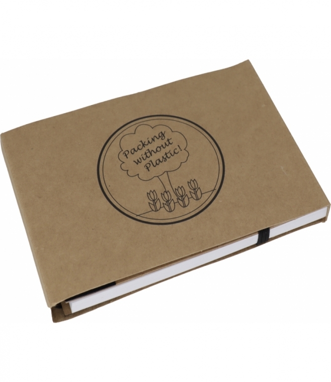 Notatnik w linie z długopisem