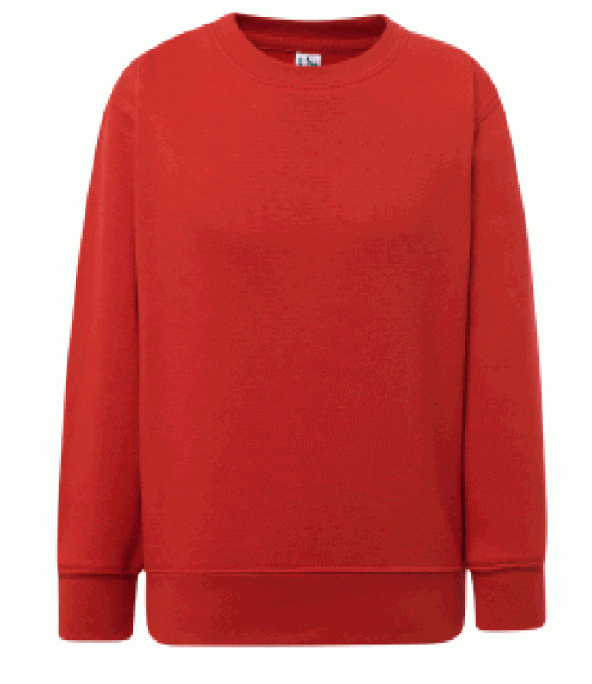 Bluza młodzieżowa<br />Kid sweatshirt