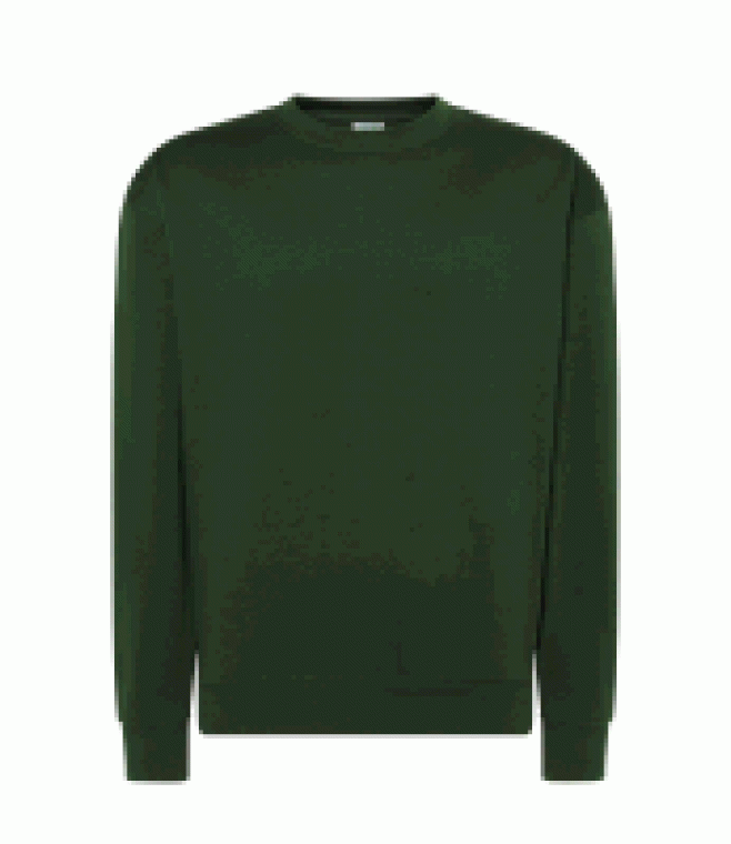 Bluza<br />Sweatshirt